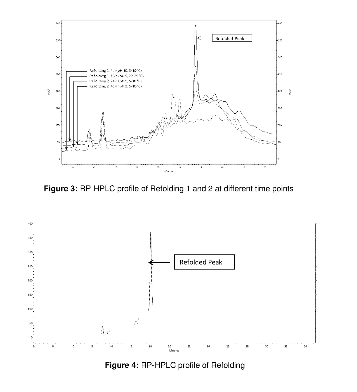 Refolding Process for Antibody's Fragments