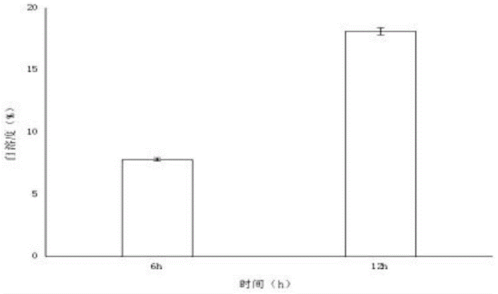 Lactobacillus plantarum for highly producing ethyl caprate and application of lactobacillus plantarum