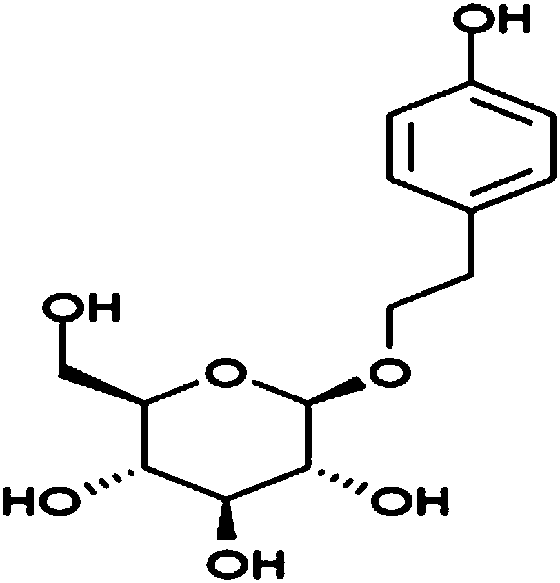 Use of salidroside in preparation of complement inhibitor drugs