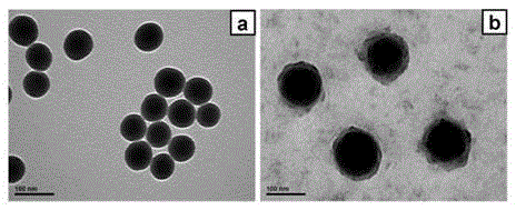 Preparation method of a novel polyamide composite separation membrane