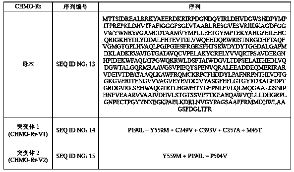 Immobilized enzyme, preparation method therefor and application of immobilized enzyme