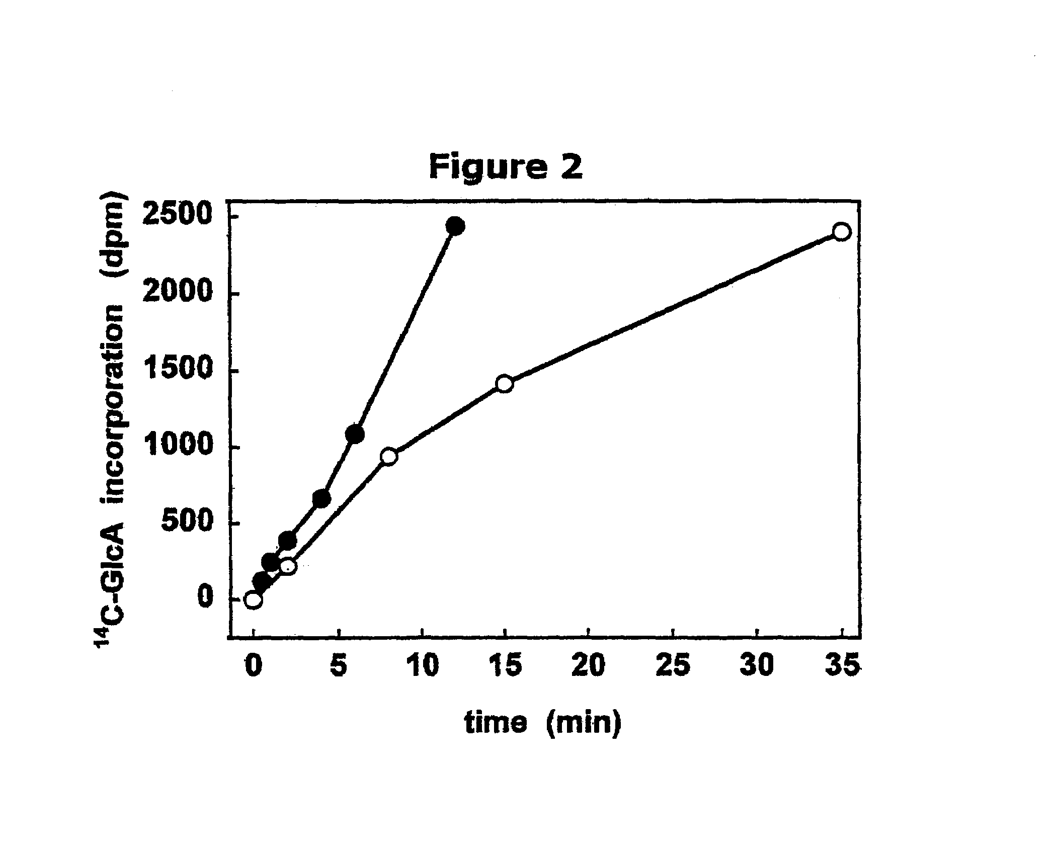 Targeted glycosaminoglycan polymers by polymer grafting and methods of making and using same