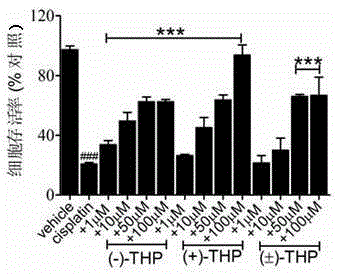 Application of tetrahydropalmatine in preparation of medicine for resisting cisplatin toxicity