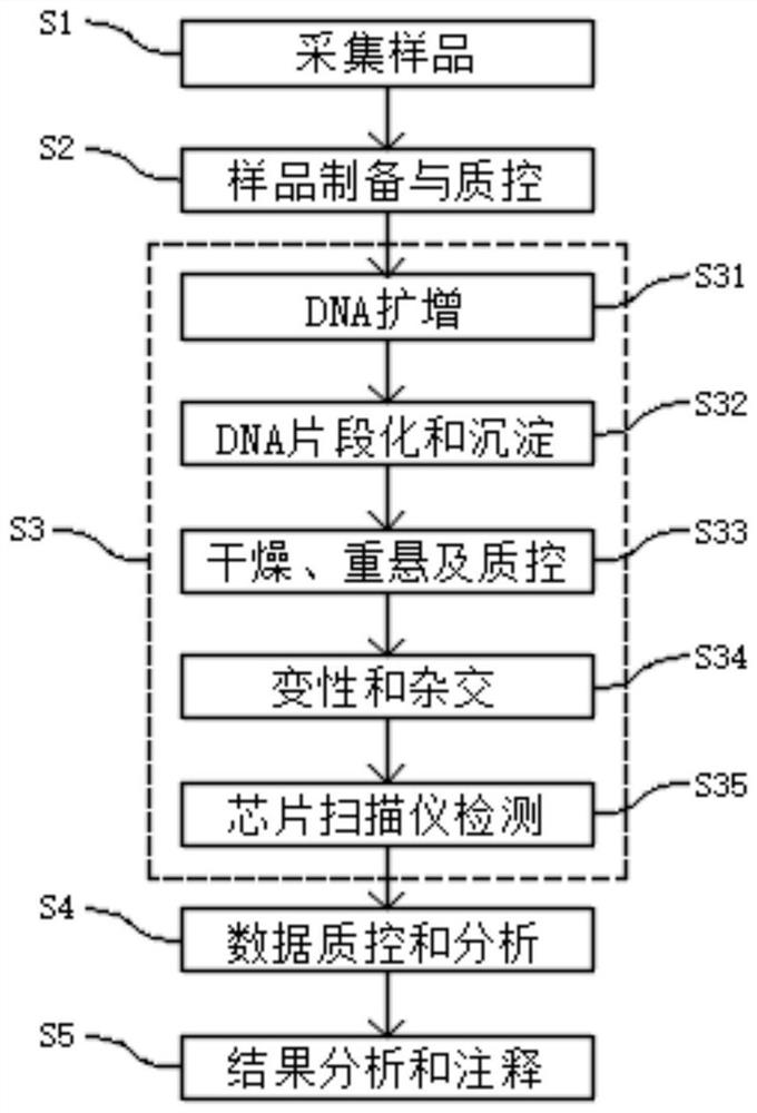 Whole-chromosome genotyping chip for synchronously detecting multiple birth defect genetic diseases and method and application of whole-chromosome genotyping chip