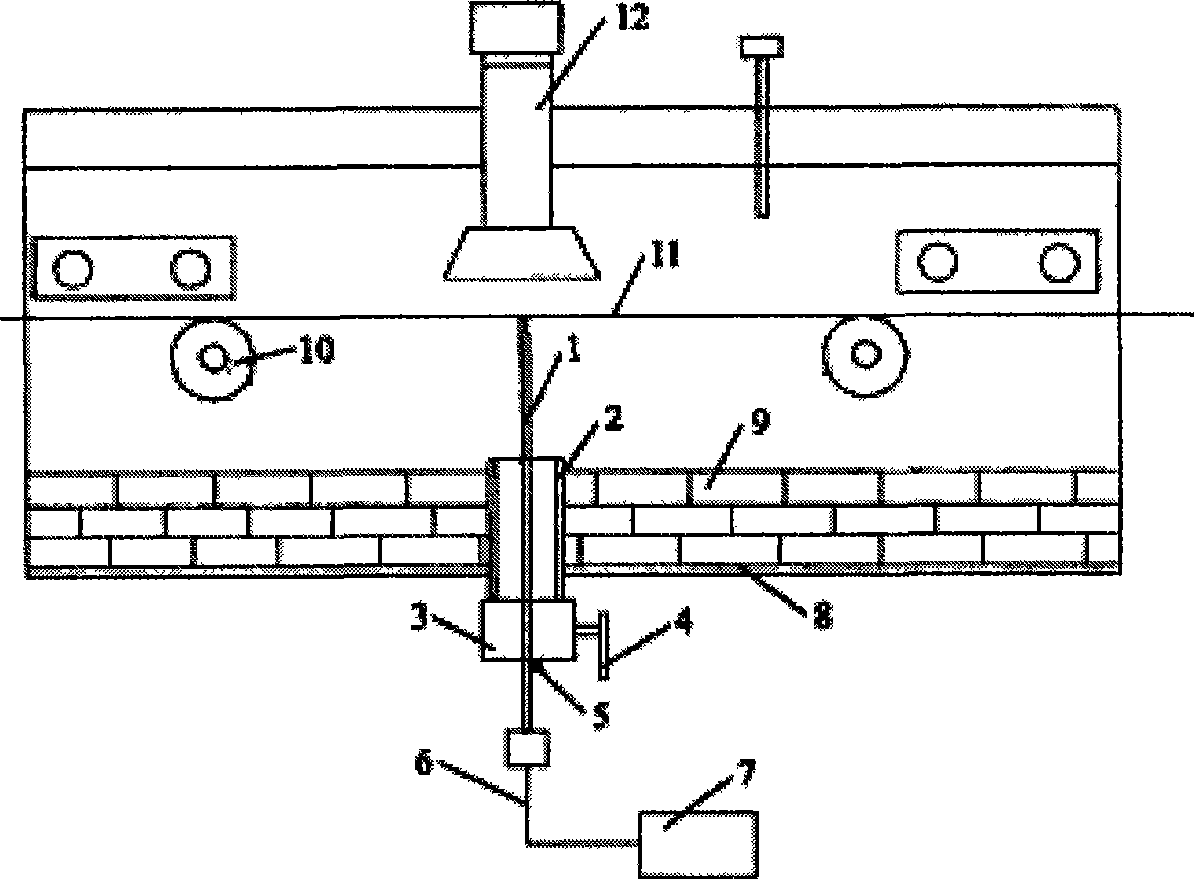 Radiant panel thermometer detection apparatus and method for continuous annealing furnace