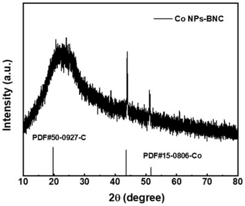 B and N co-doped Co-based high-active oxygen reduction electrocatalyst as well as preparation and application thereof