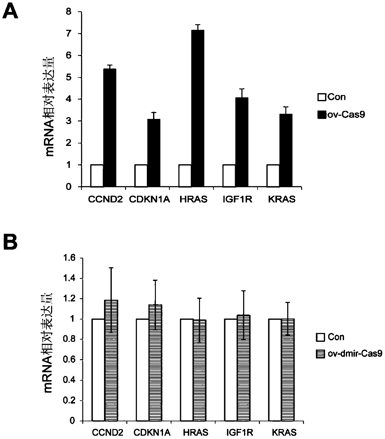 A nucleic acid molecule safely encoding cas9 protein and its expression vector