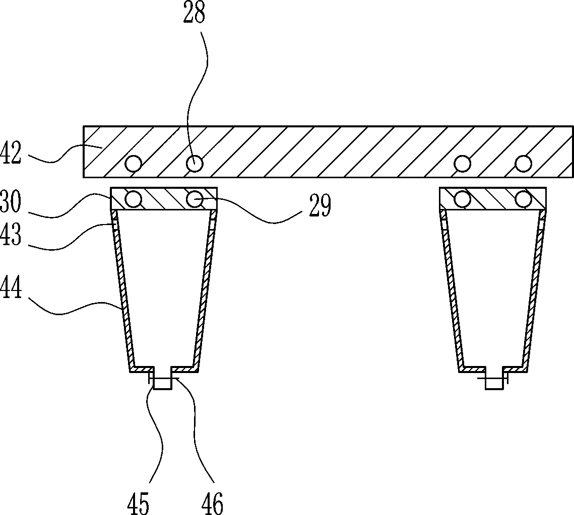 Auxiliary sampling device for sewage detection