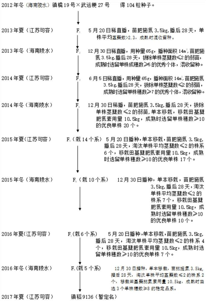 A breeding method for cultivating japonica rice varieties with high nitrogen utilization