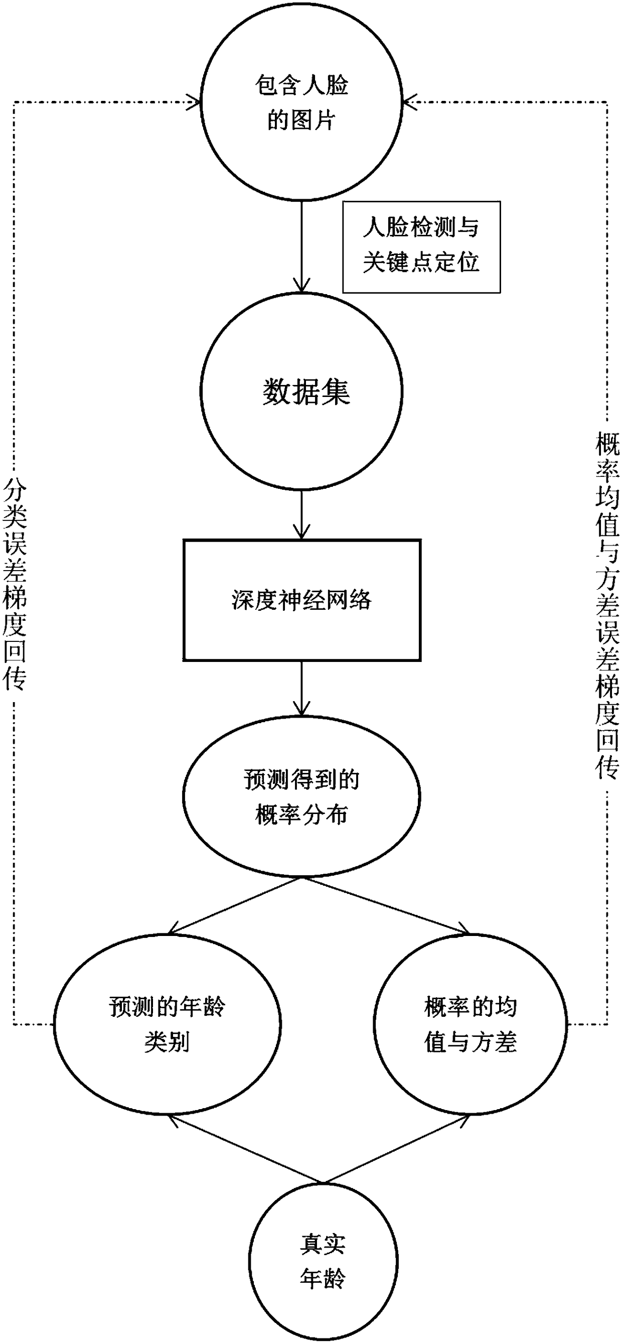 Face age estimation method capable of carrying out distributed learning on basis of convolutional neural network