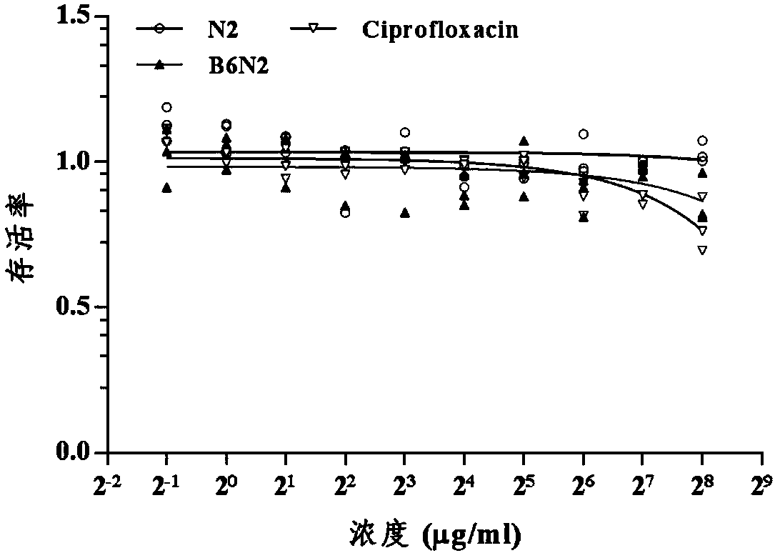 Chimeric cell-penetrating antibacterial peptide B6N2 and application thereof