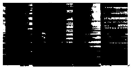 Audio starting point detection method and device