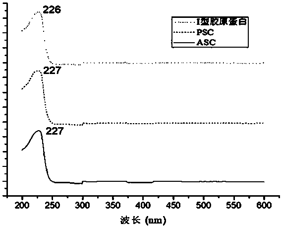 Collagen peptide with light aging relieving effect and preparation method thereof
