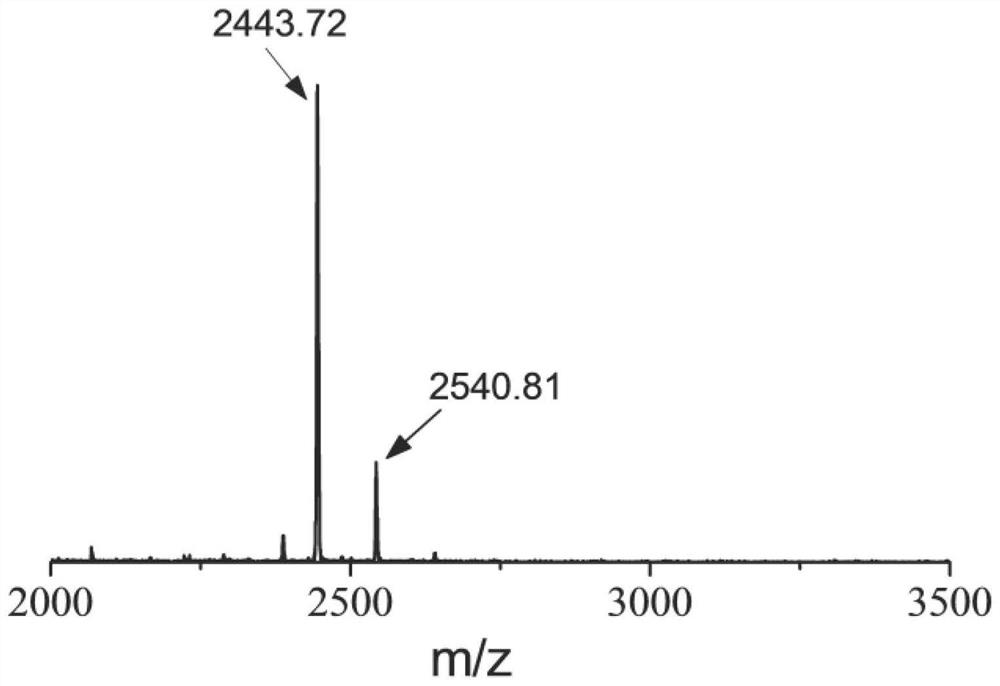 Enzyme-sensitive polypeptide micelle type diagnosis and treatment agent and application thereof in preparation of antitumor drugs