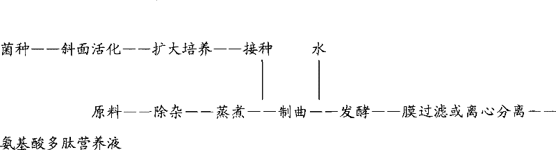 Aminoacid polypeptide nutrient fluid, preparation method thereof and use