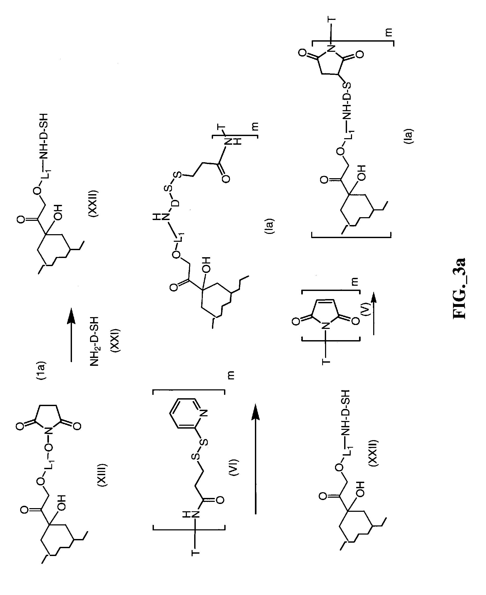 Anthracycline derivative conjugates, process for their preparation and their use as antitumor compounds