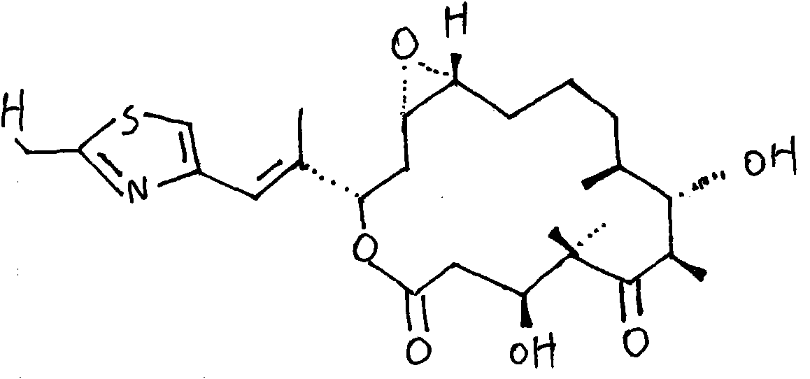 Anti-tumor epothilone oral liquid
