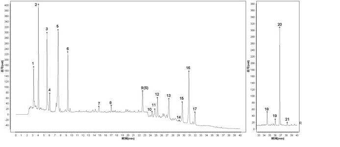 Construction method for HPLC (high performance liquid chromatography) finger-print chromatogram of ginseng and astragalus strengthening injection and application of finger-print