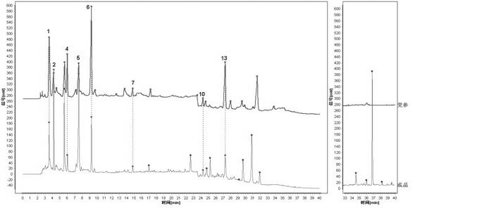 Construction method for HPLC (high performance liquid chromatography) finger-print chromatogram of ginseng and astragalus strengthening injection and application of finger-print
