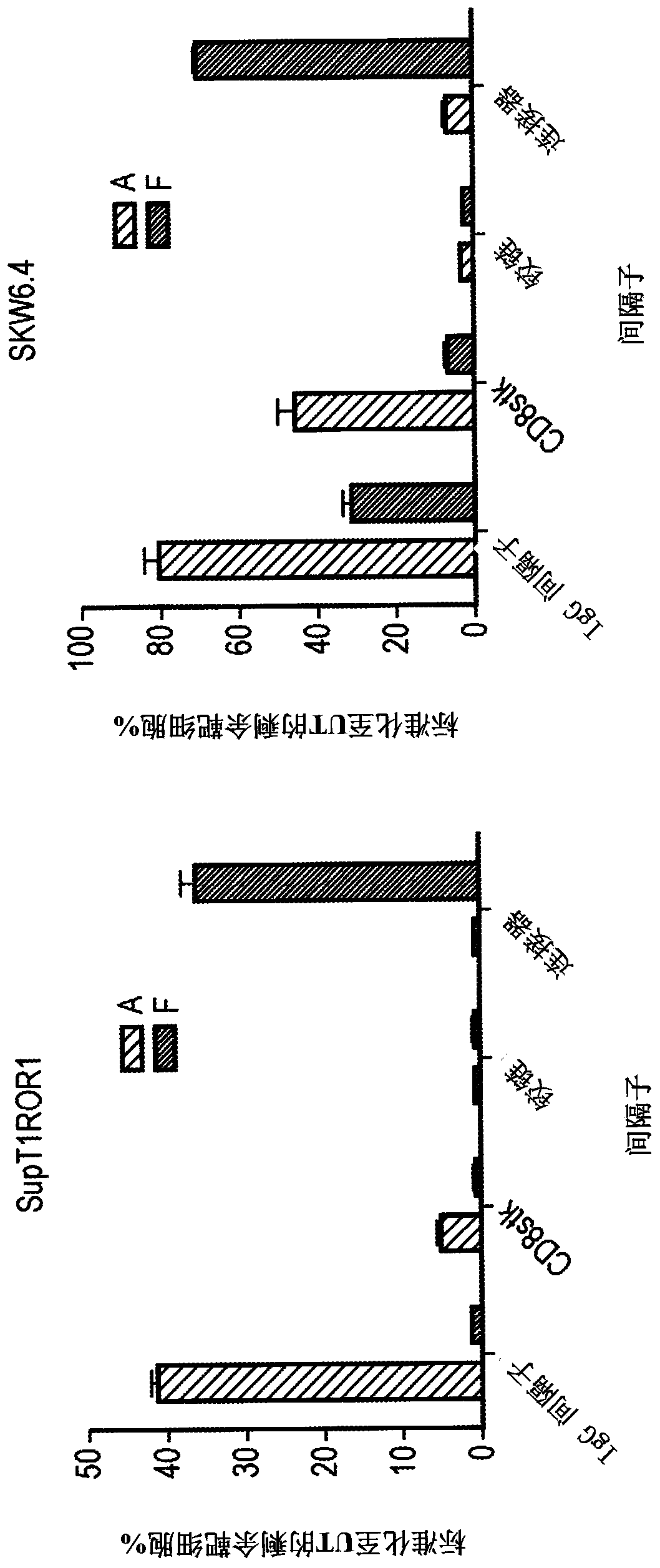 Ror1 car t-cells