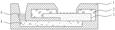 Card type protein chip and application thereof