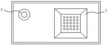 Card type protein chip and application thereof