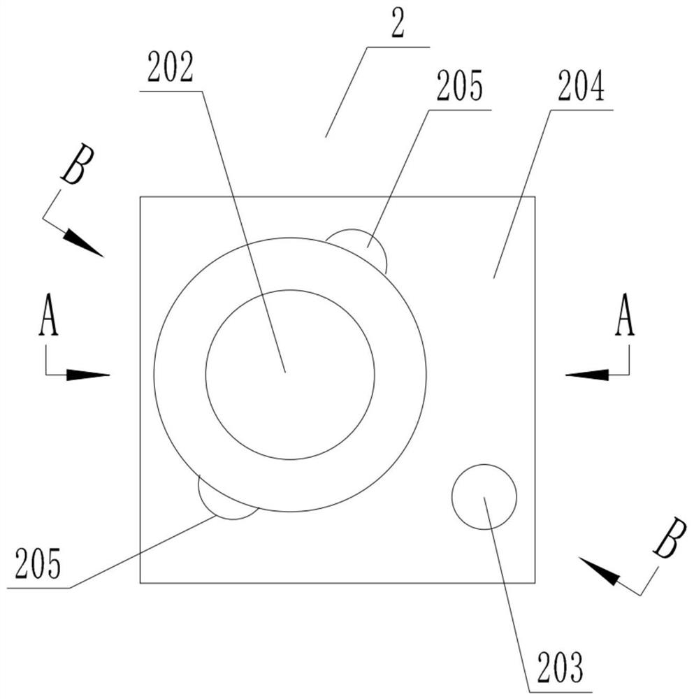 Handheld Raman spectrometer and detection method