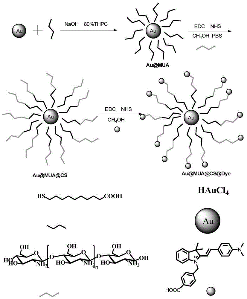 A kind of sulfhydryl ion nanoprobe material and its preparation method and application