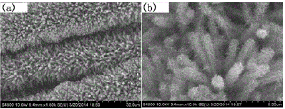 Electrode material of C@MnO2 nanotube super capacitor and preparation method and application of electrode material