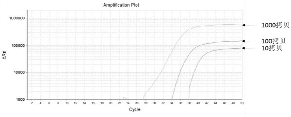 A primer and probe set for gastrointestinal cancer diagnosis, detection or screening