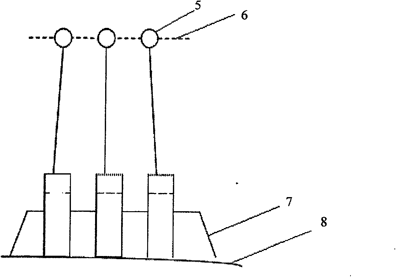 Imbedded and perched bivalve molluscs biodeposition in-situ measuring method