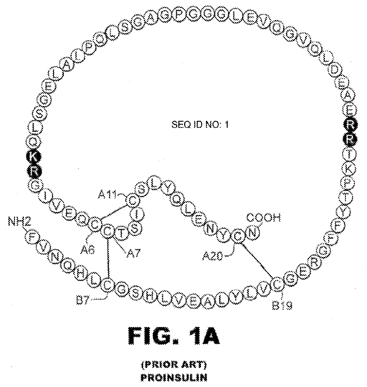 Encapsulation of ultra-stable insulin analogues with polymer melts