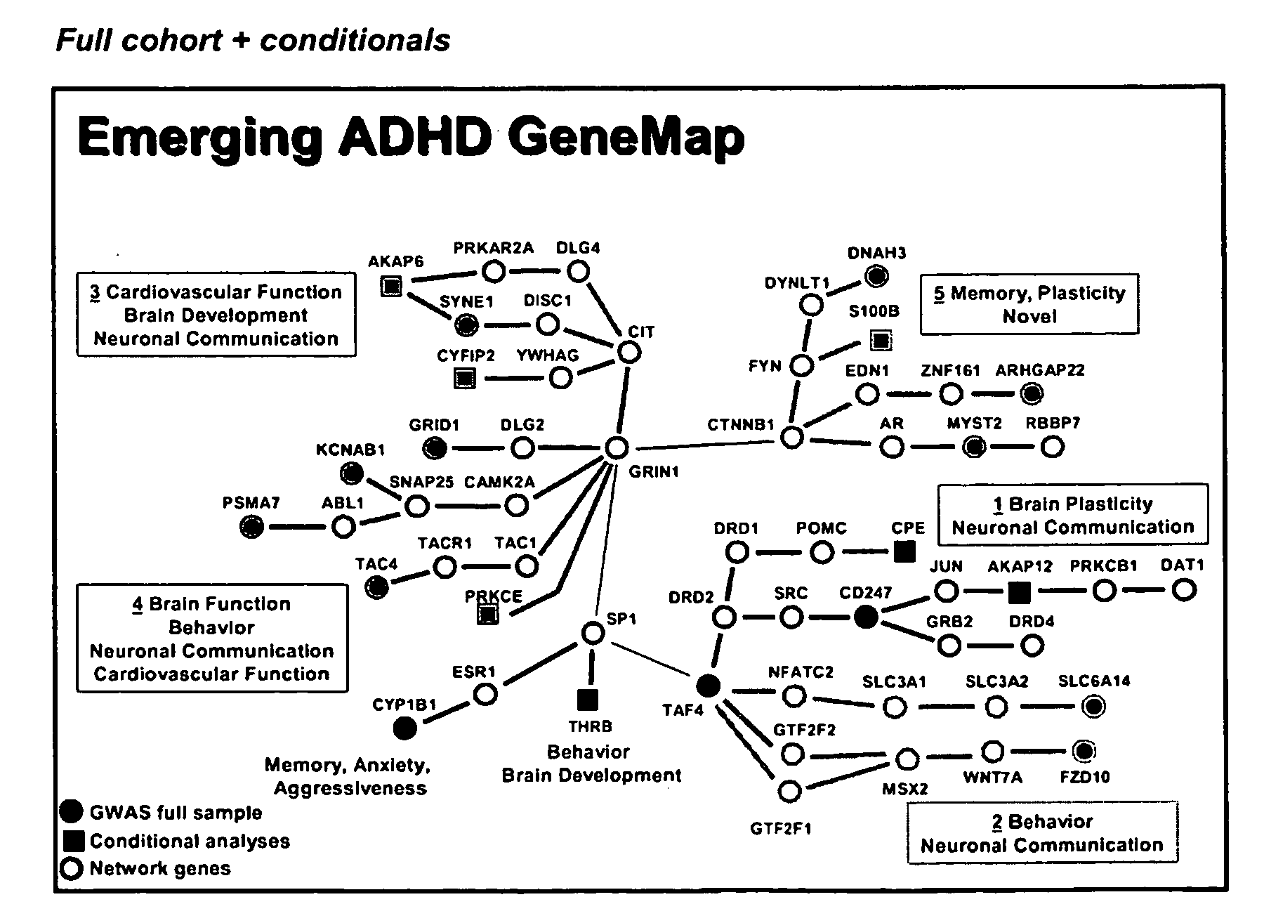 Genemap of the human genes associated with adhd