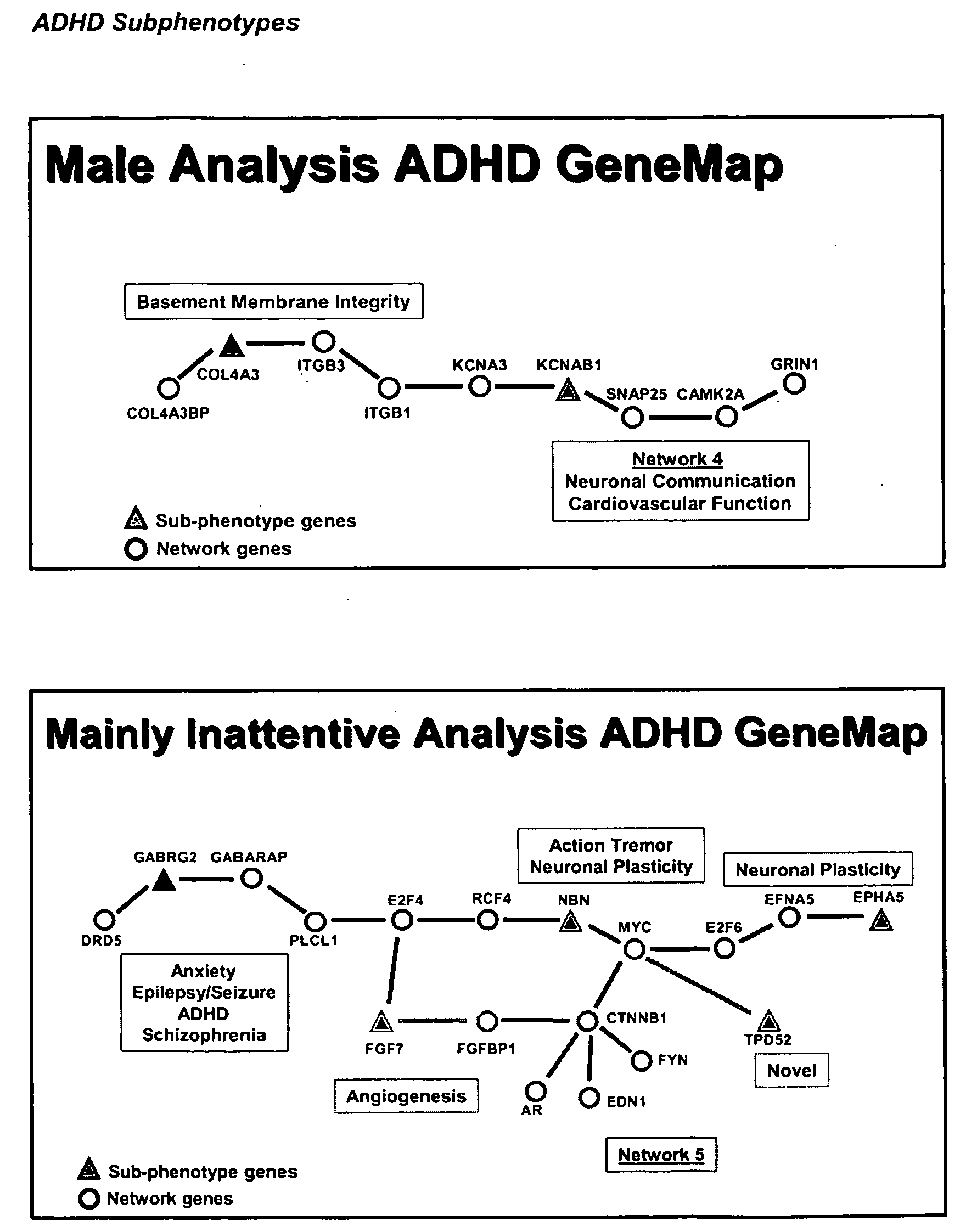 Genemap of the human genes associated with adhd