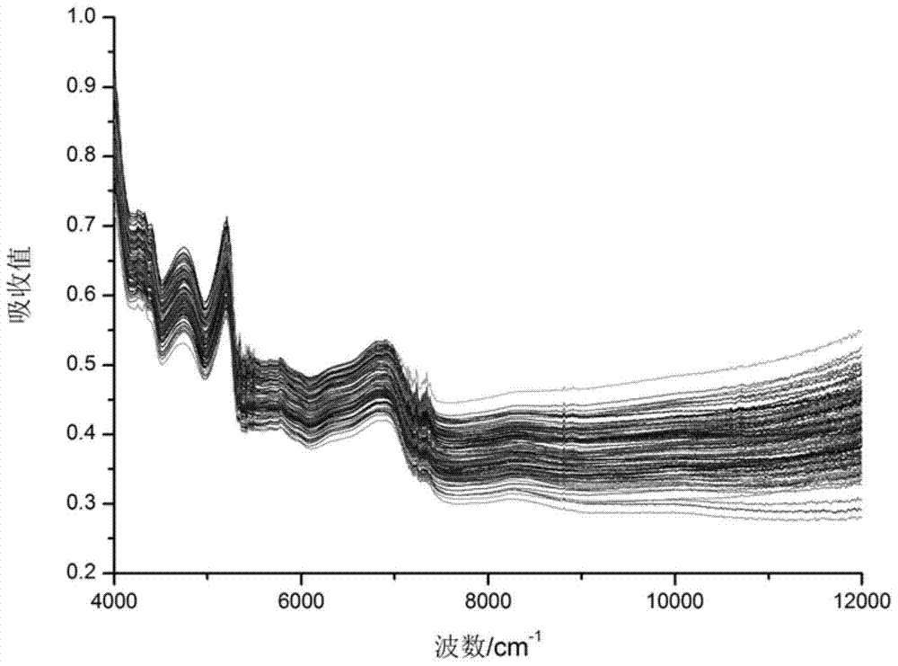 Method and application of rapid detection of Uncaria medicinal materials by near-infrared spectroscopy