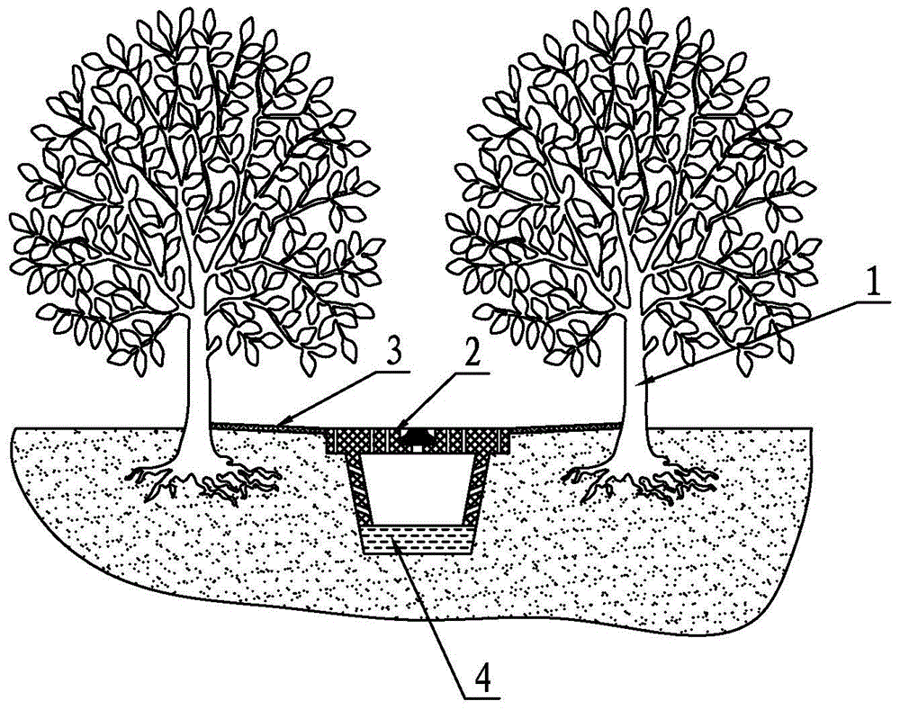 Tea garden free of weeding and plowing