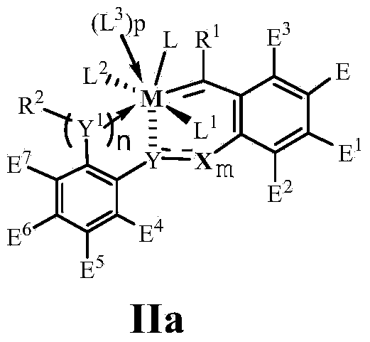Metal complex ligand, metal complex, preparation method and application thereof, high molecular polymer, preparation method and application thereof