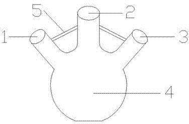 Three-mouth flask