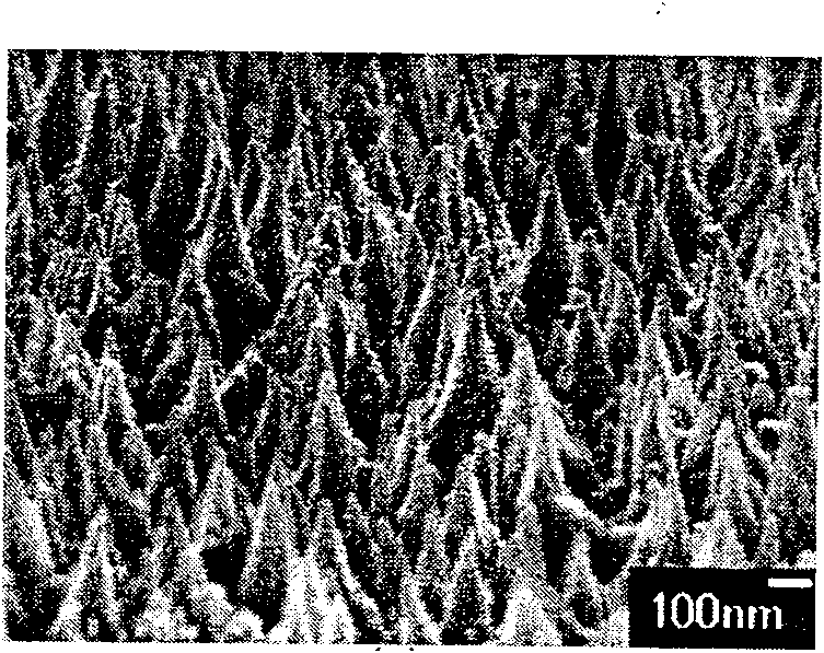 Surface nano tip array and its preparing method