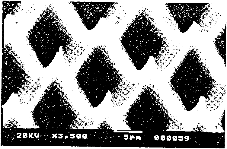 Surface nano tip array and its preparing method