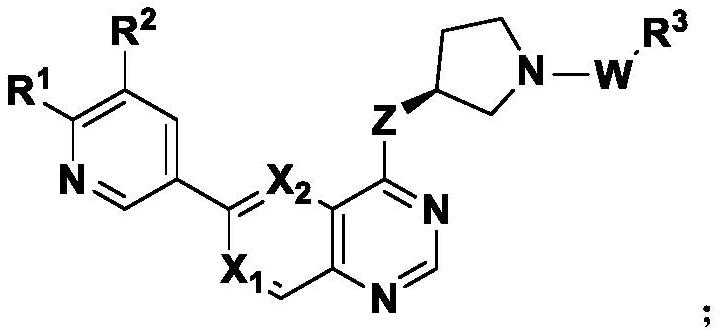 Pyridopyrimidine compound and application thereof