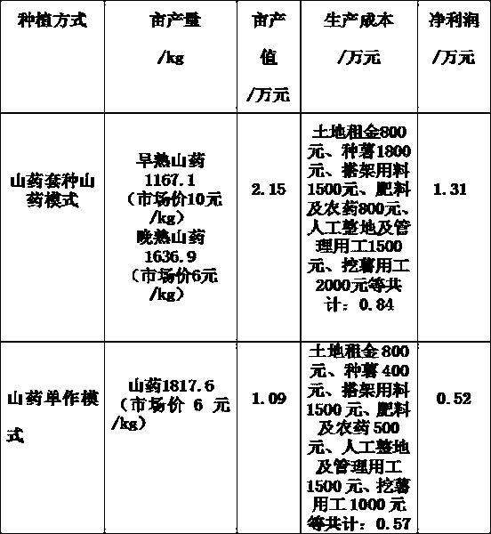 A kind of cultivation method for interplanting Chinese yam with two crops a year