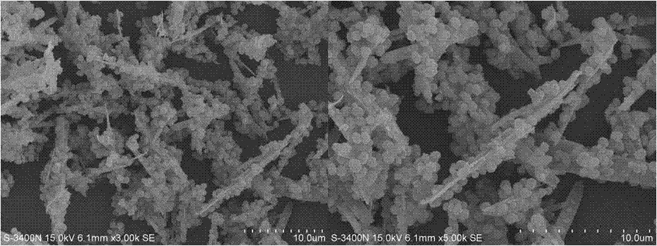 Molecular sieve-coating cerium oxide composite material and preparation method thereof