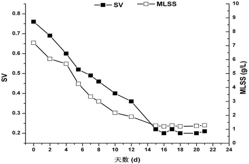 Method for rapid mutagenesis of autotrophic nitrosation sludge from complete nitrifying sludge