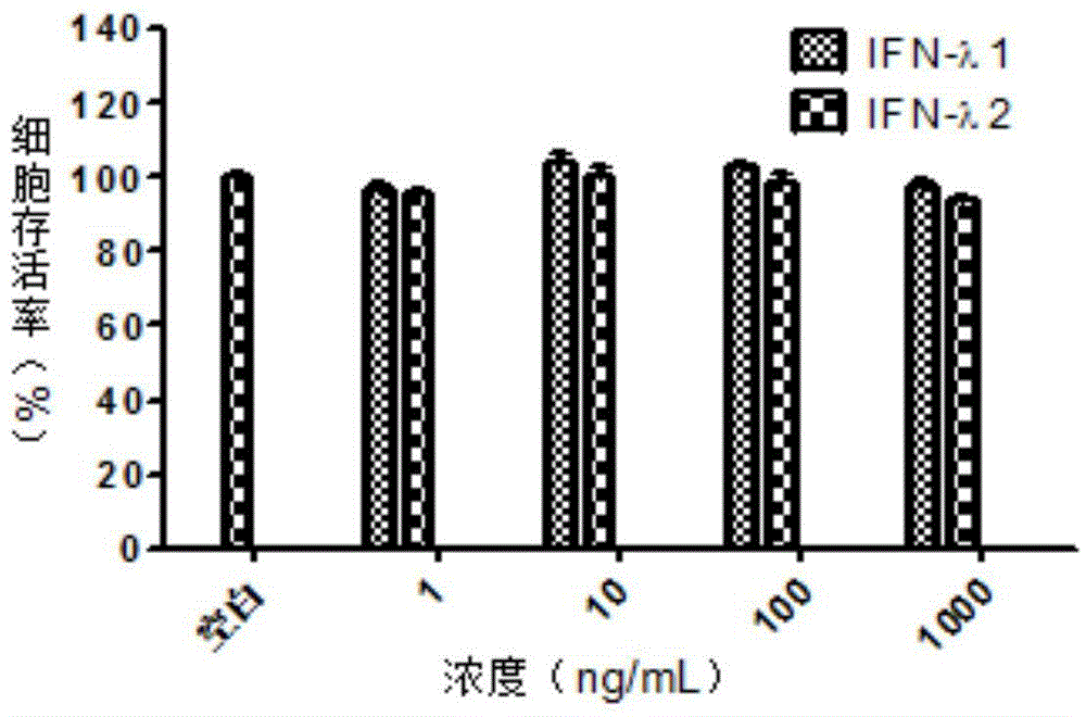 Application of lambda interferon to preparation of anti-Hantaan virus drugs