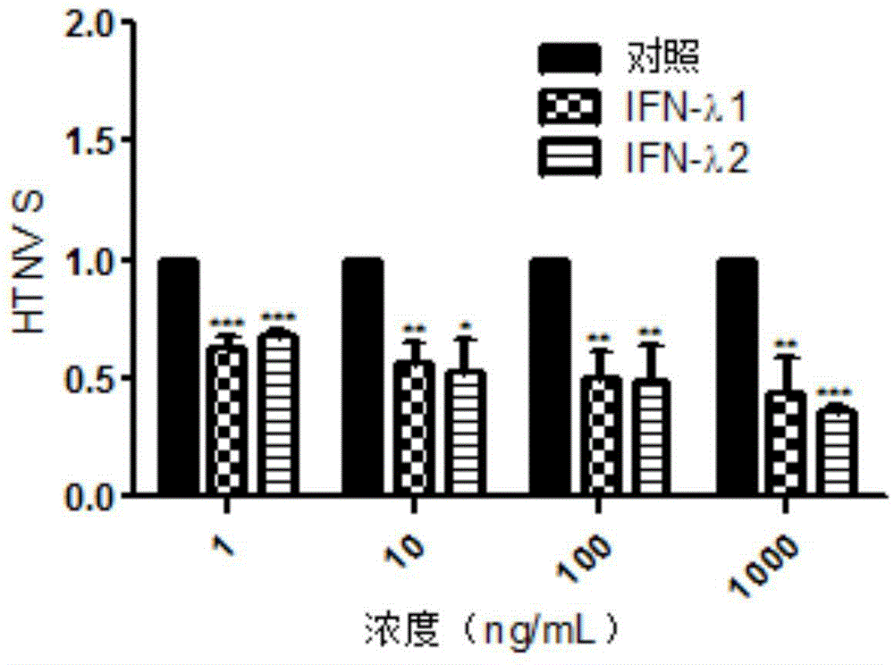 Application of lambda interferon to preparation of anti-Hantaan virus drugs