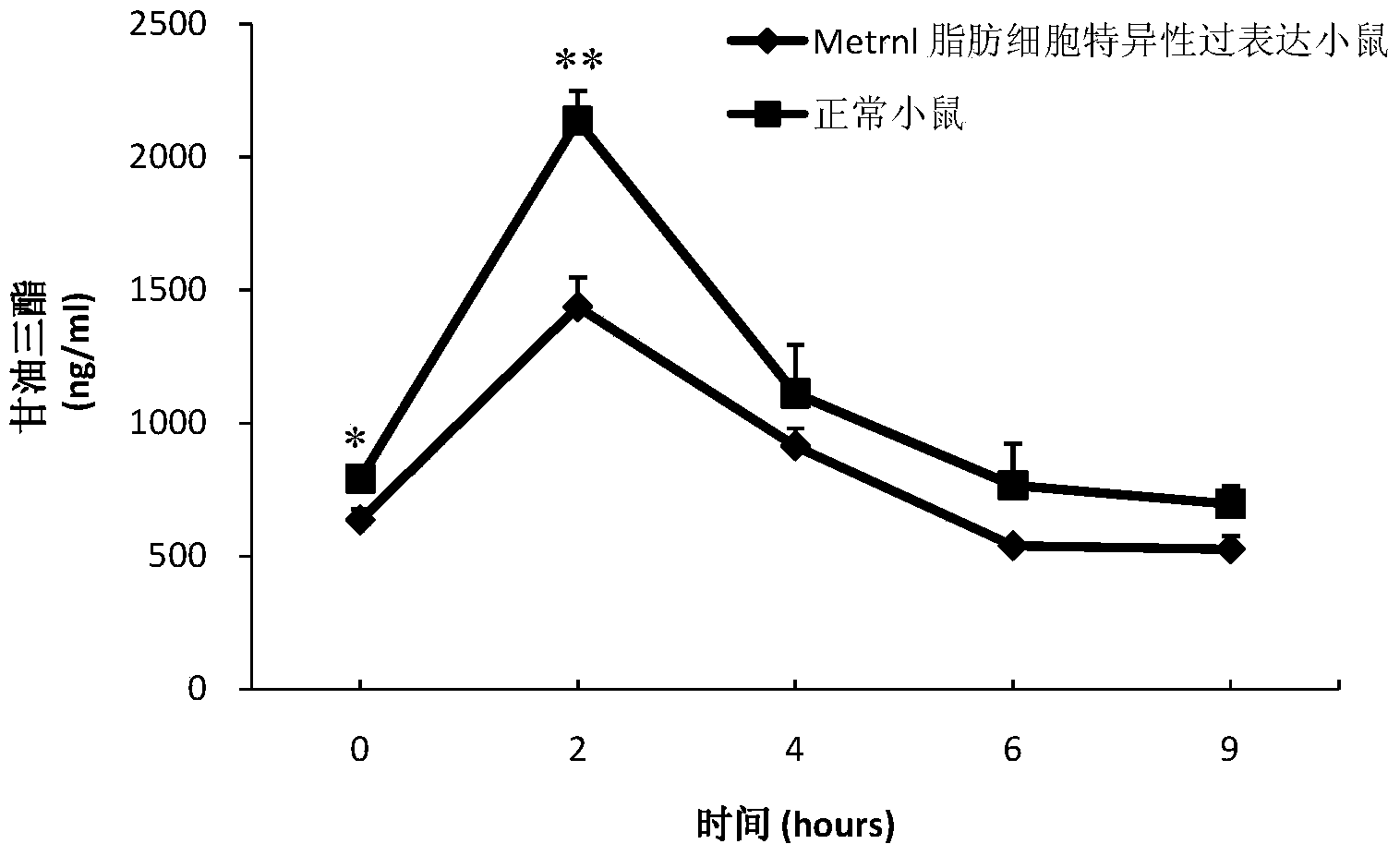 Application of metrn1 protein in aspect of preparation of lipid-lowering drug