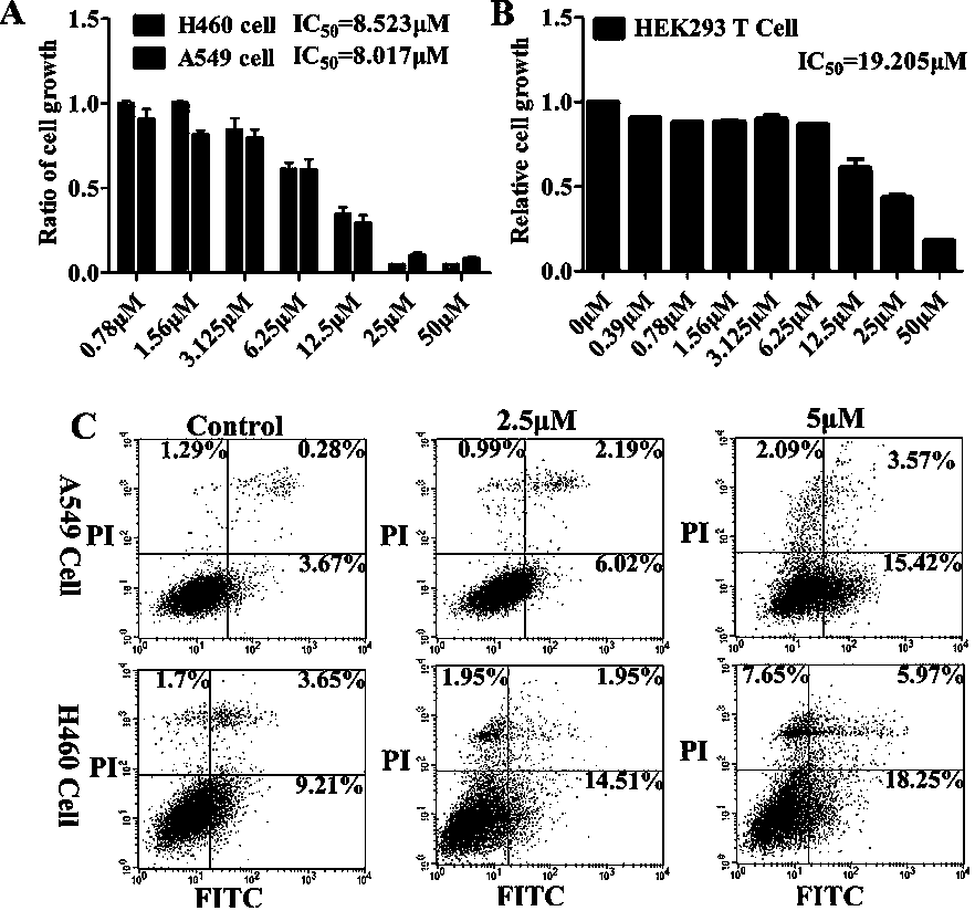 Application of cytotoxic active spider peptide to research and development of anti-tumor medicine