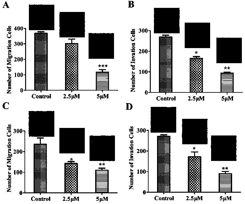 Application of cytotoxic active spider peptide to research and development of anti-tumor medicine