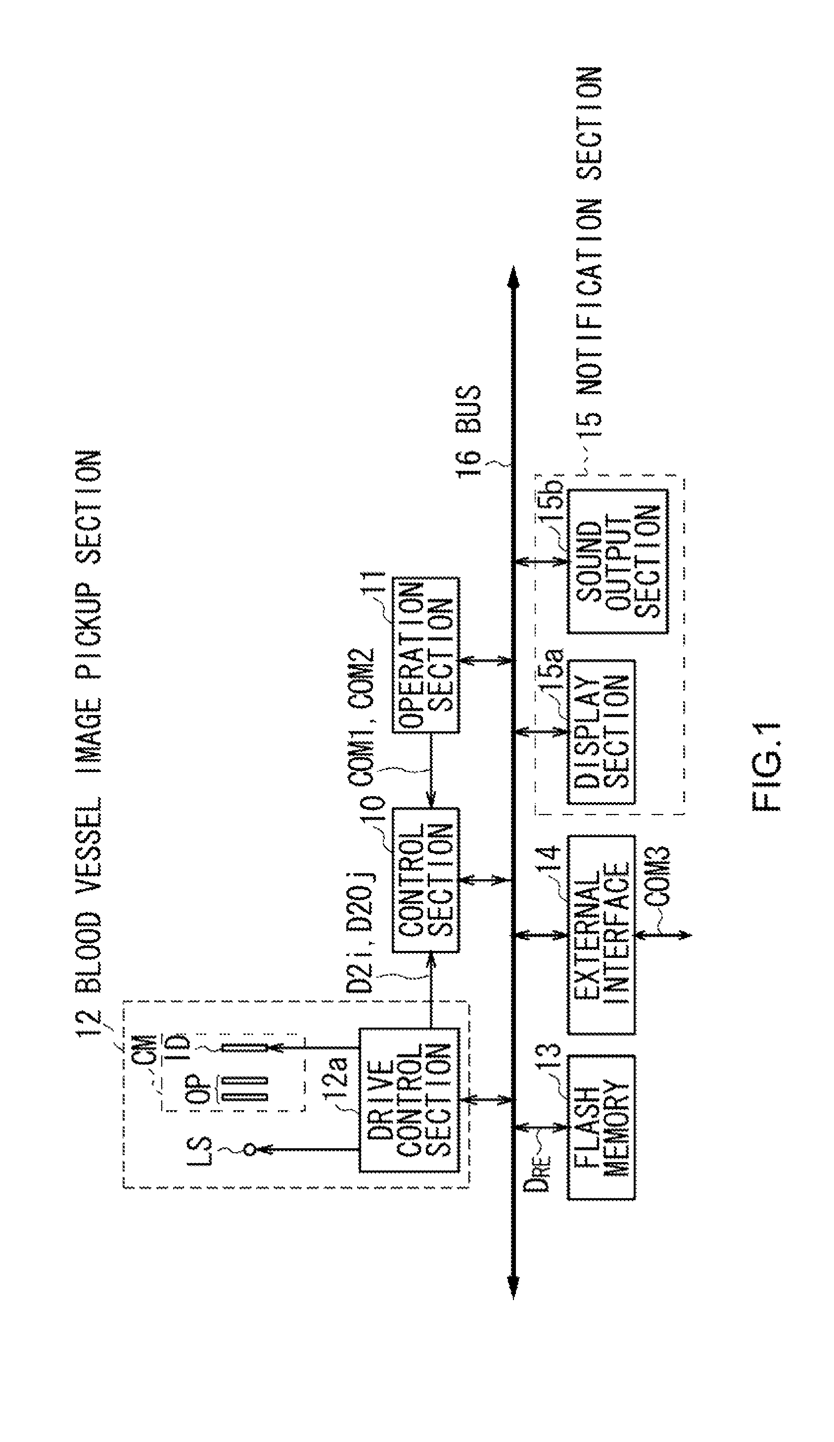 Correlation-based biometric authentication apparatus, authentication method and program